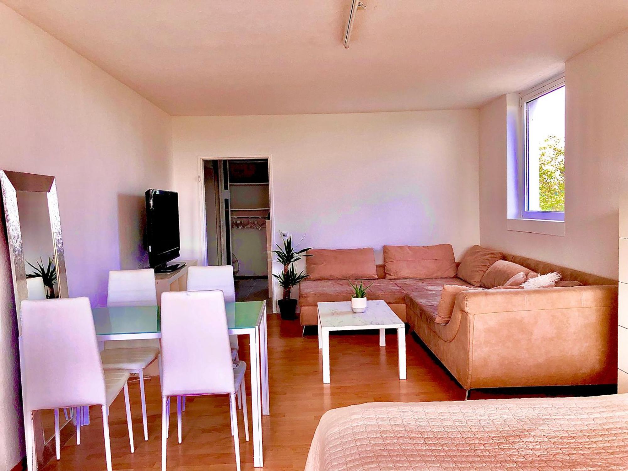 Schoenes 1 Apartment